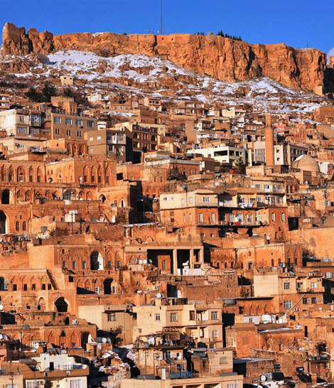 DOĞU GÜNEYDOĞU BÖLGESİ